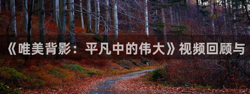 秋霞av影音：《唯美背影：平凡中的伟大》视频回顾与