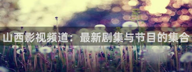 秋霞电影完整版在线观看：山西影视频道：最新剧集与节目的集合