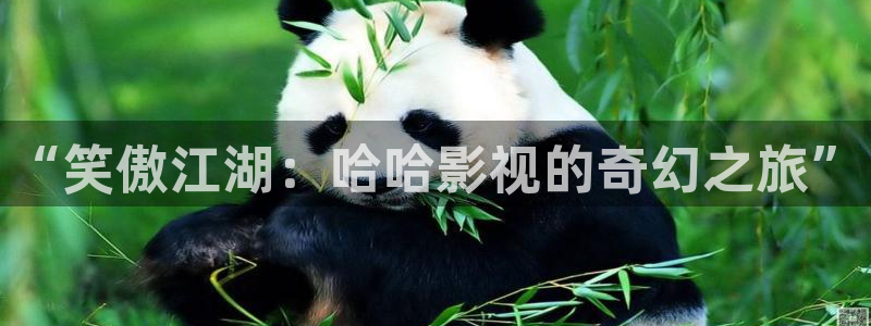 秋霞影视大全：“笑傲江湖：哈哈影视的奇幻之旅”