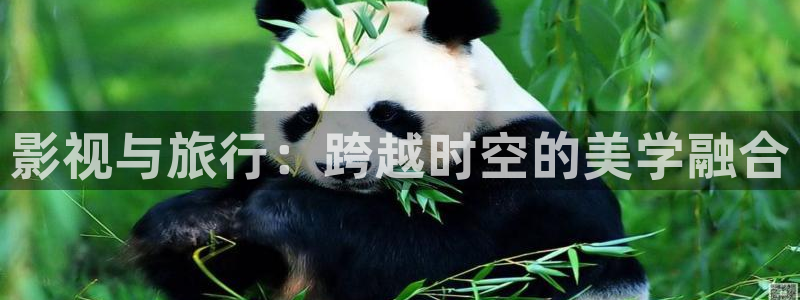琪琪秋霞午夜被窝影视：影视与旅行：跨越时空的美学融合