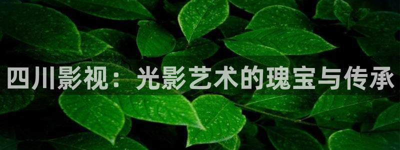 飘花秋霞电影：四川影视：光影艺术的瑰宝与传承