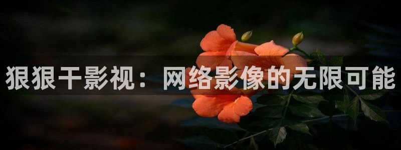 秋霞影视最新版本：狠狠干影视：网络影像的无限可能