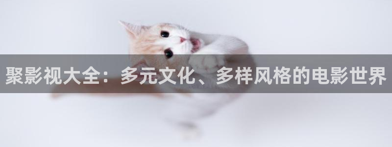 秋霞露丝片：聚影视大全：多元文化、多样风格的电影世界