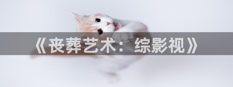 神马影院在线观看秋霞：《丧葬艺术：综影视》