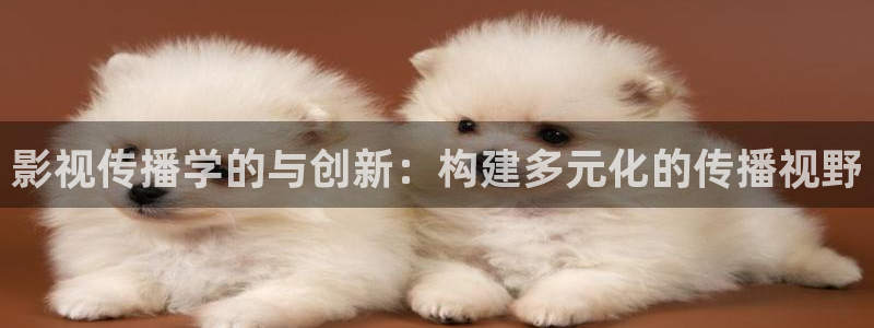 秋霞神马影视：影视传播学的与创新：构建多元化的传播视野