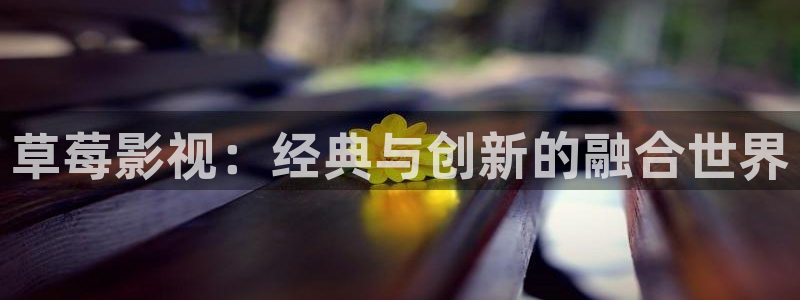 2016最新秋霞电影：草莓影视：经典与创新的融合世界