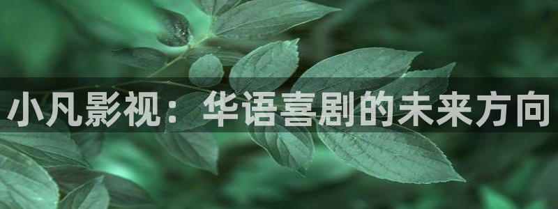 秋霞电影网韩国：小凡影视：华语喜剧的未来方向