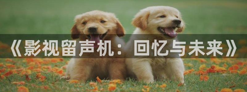 秋霞a视频：《影视留声机：回忆与未来》